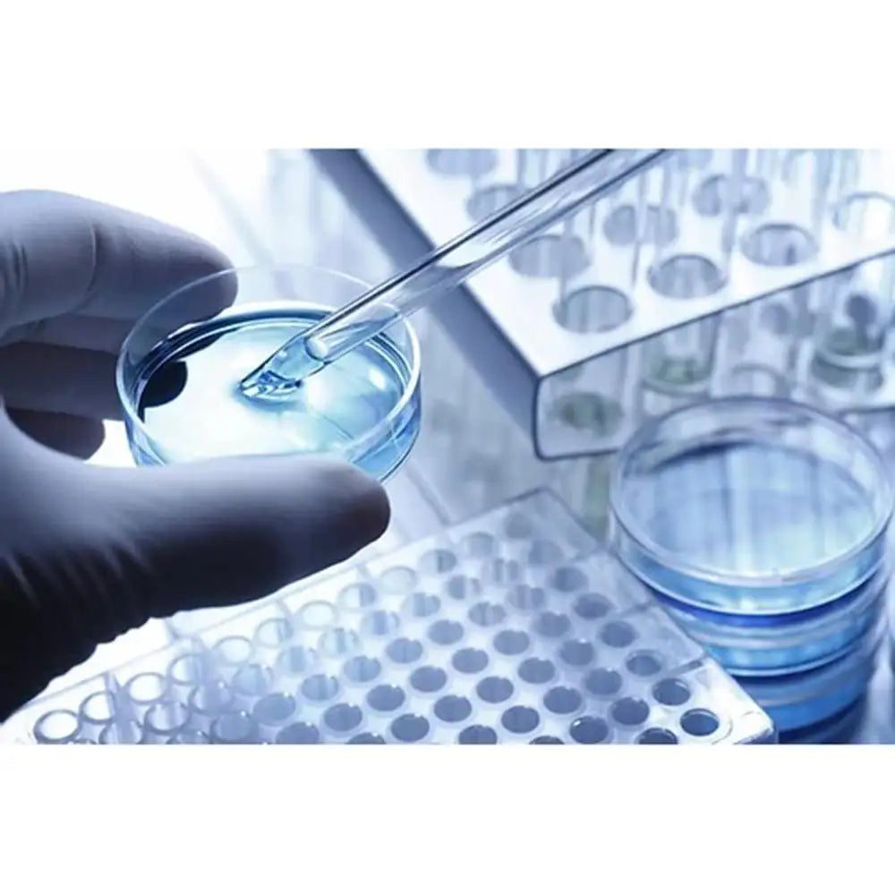 Smart Air Purifier Remote Control App Pets Dogs Cats Odor Remover Activated Carbon Tabletop