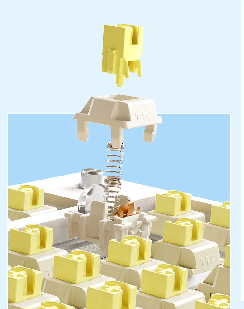 AULA F75 2.4G Wireless/Bluetooth/Wired Gaming Mechanical Keyboard RGB Customized 75% Layout Cherry Profile Gasket Structure