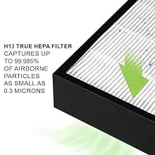 Air Purifier, 4-in-1 H13 True HEPA Filter/Ionizer/Carbon + UV Light, Portable Air Purifiers for Large Room - InvisiClean Aura II